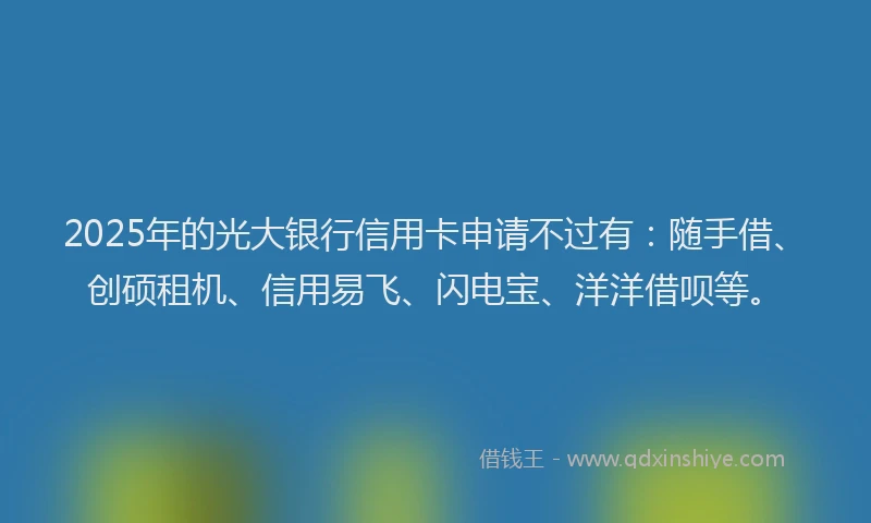 2025年的光大银行信用卡申请不过有:随手借、创硕租机、信用易飞、闪电宝、洋洋借呗等。