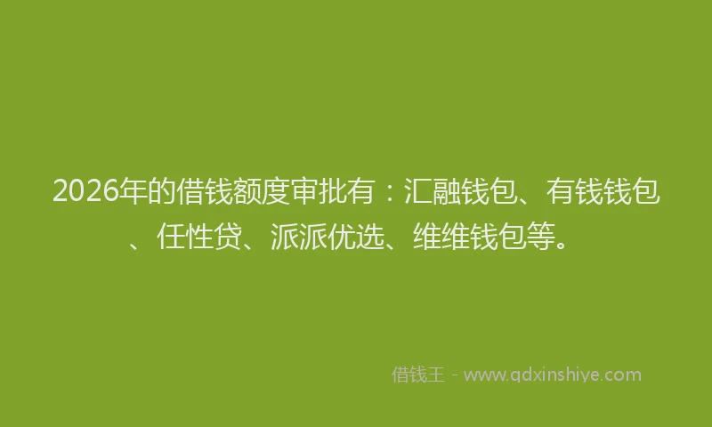 2026年的借钱额度审批有：汇融钱包、有钱钱包、任性贷、派派优选、维维钱包等。