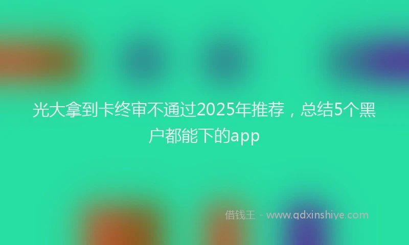 光大拿到卡终审不通过2025年推荐，总结5个黑户都能下的app