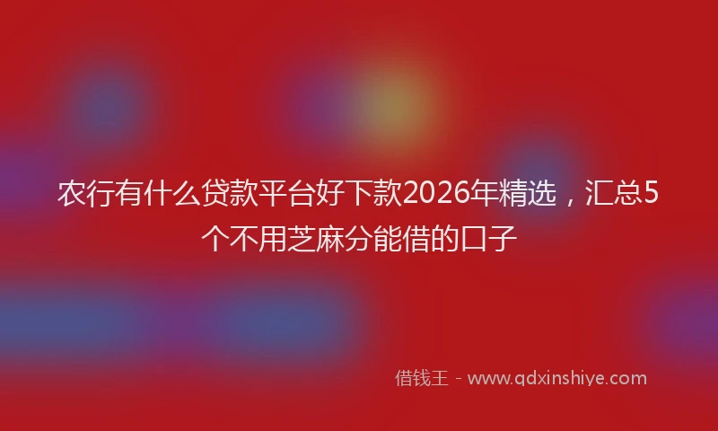 农行有什么贷款平台好下款2026年精选，汇总5个不用芝麻分能借的口子
