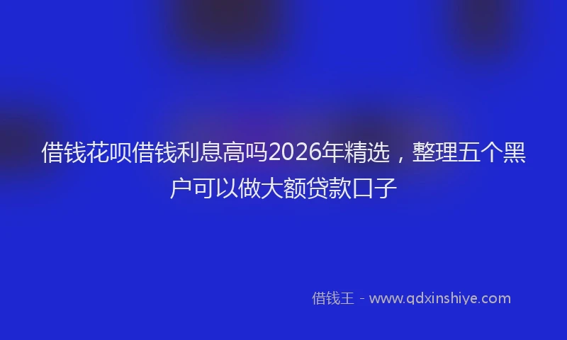 借钱花呗借钱利息高吗2026年精选，整理五个黑户可以做大额贷款口子