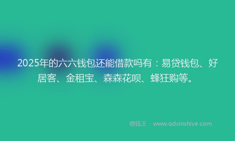 2025年的六六钱包还能借款吗有：易贷钱包、好居客、金租宝、森森花呗、蜂狂购等。