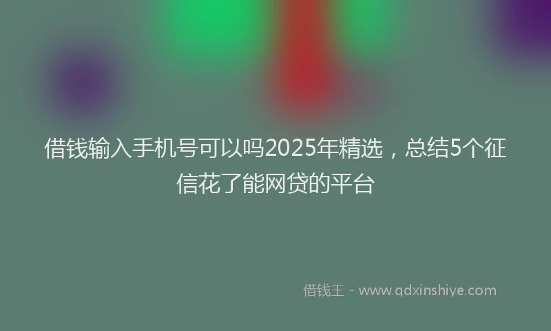 借钱输入手机号可以吗2025年精选，总结5个征信花了能网贷的平台
