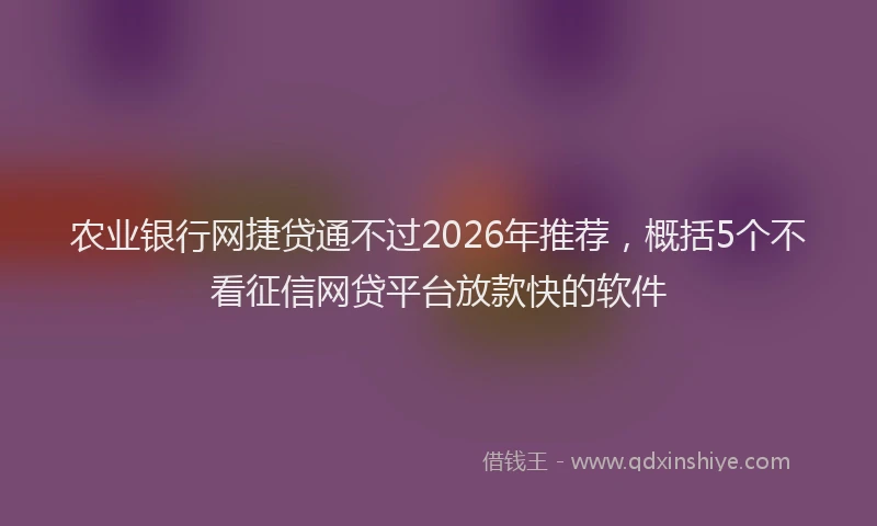 农业银行网捷贷通不过2026年推荐,概括5个不看征信网贷平台放款快的软件