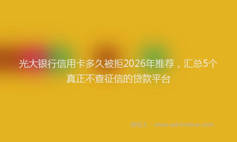 光大银行信用卡多久被拒2026年推荐，汇总5个真正不查征信的贷款平台