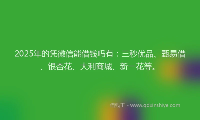 2025年的凭微信能借钱吗有:三秒优品、甄易借、银杏花、大利商城、新一花等。