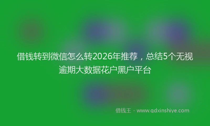 借钱转到微信怎么转2026年推荐，总结5个无视逾期大数据花户黑户平台