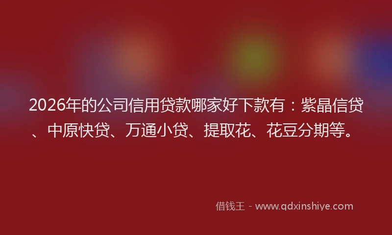 2026年的公司信用贷款哪家好下款有：紫晶信贷、中原快贷、万通小贷、提取花、花豆分期等。