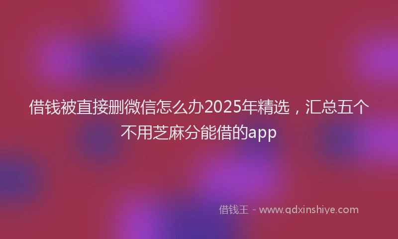 借钱被直接删微信怎么办2025年精选，汇总五个不用芝麻分能借的app