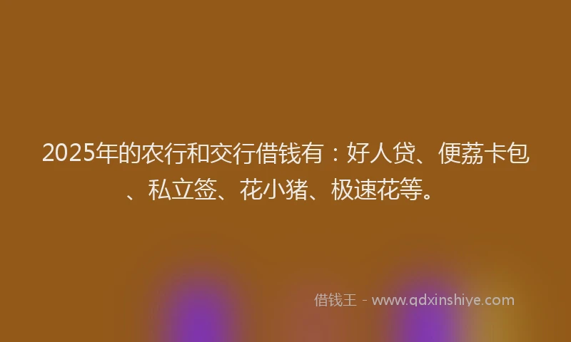 2025年的农行和交行借钱有：好人贷、便荔卡包、私立签、花小猪、极速花等。