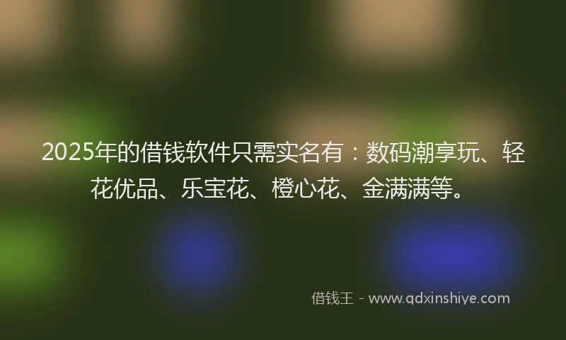 2025年的借钱软件只需实名有:数码潮享玩、轻花优品、乐宝花、橙心花、金满满等。