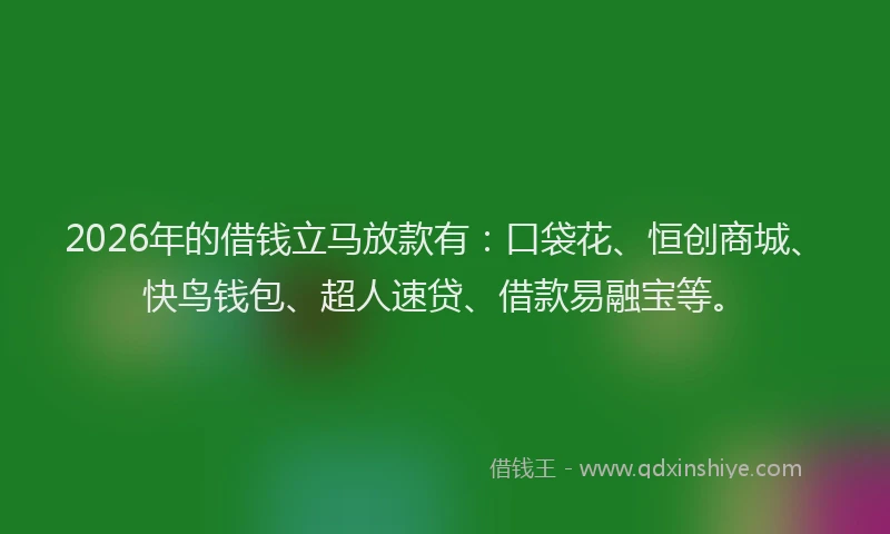 2026年的借钱立马放款有:口袋花、恒创商城、快鸟钱包、超人速贷、借款易融宝等。