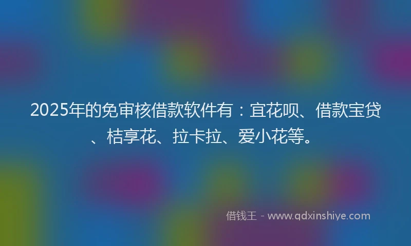 2025年的免审核借款软件有：宜花呗、借款宝贷、桔享花、拉卡拉、爱小花等。