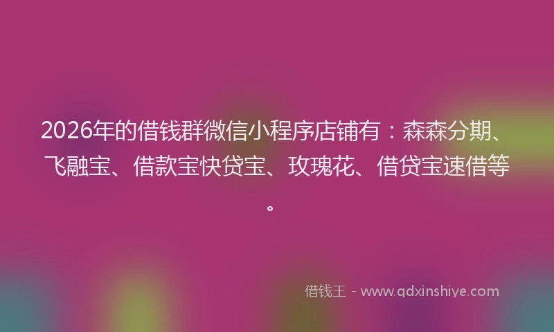2026年的借钱群微信小程序店铺有：森森分期、飞融宝、借款宝快贷宝、玫瑰花、借贷宝速借等。