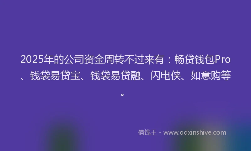 2025年的公司资金周转不过来有：畅贷钱包Pro、钱袋易贷宝、钱袋易贷融、闪电侠、如意购等。