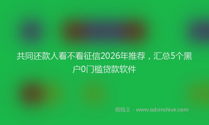共同还款人看不看征信2026年推荐，汇总5个黑户0门槛贷款软件
