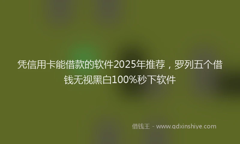 凭信用卡能借款的软件2025年推荐，罗列五个借钱无视黑白100%秒下软件