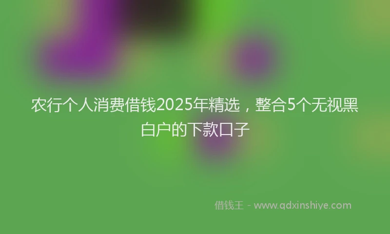 农行个人消费借钱2025年精选,整合5个无视黑白户的下款口子