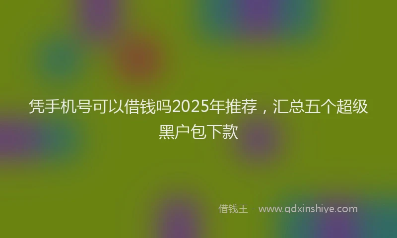 凭手机号可以借钱吗2025年推荐,汇总五个超级黑户包下款