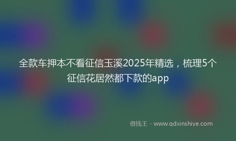 全款车押本不看征信玉溪2025年精选，梳理5个征信花居然都下款的app