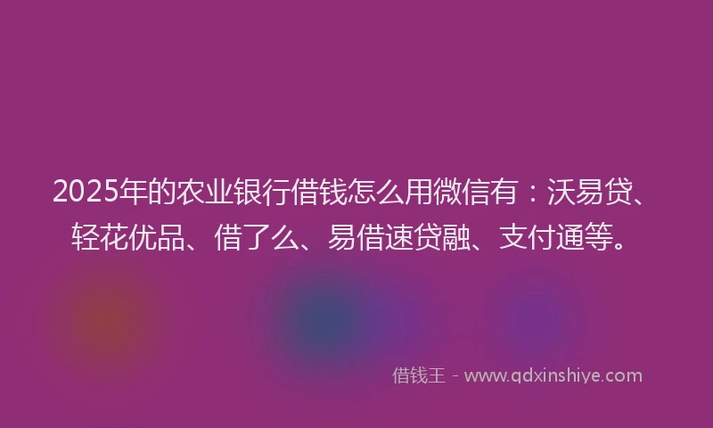 2025年的农业银行借钱怎么用微信有:沃易贷、轻花优品、借了么、易借速贷融、支付通等。