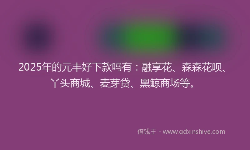 2025年的元丰好下款吗有：融享花、森森花呗、丫头商城、麦芽贷、黑鲸商场等。