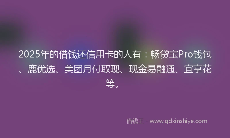 2025年的借钱还信用卡的人有：畅贷宝Pro钱包、鹿优选、美团月付取现、现金易融通、宜享花等。