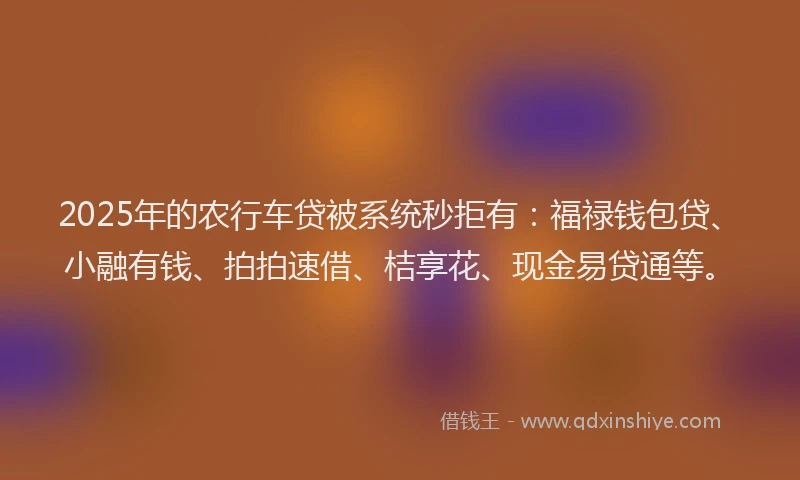 2025年的农行车贷被系统秒拒有：福禄钱包贷、小融有钱、拍拍速借、桔享花、现金易贷通等。