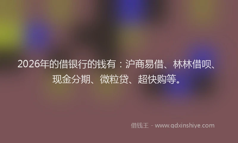 2026年的借银行的钱有：沪商易借、林林借呗、现金分期、微粒贷、超快购等。