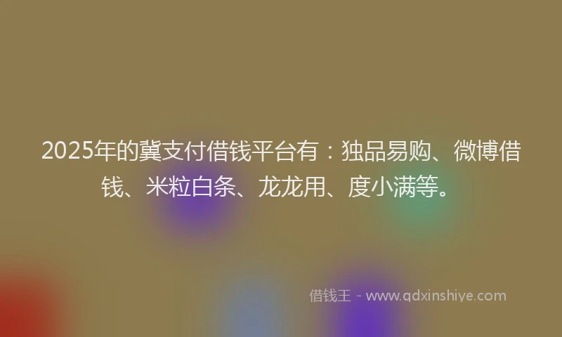2025年的冀支付借钱平台有：独品易购、微博借钱、米粒白条、龙龙用、度小满等。