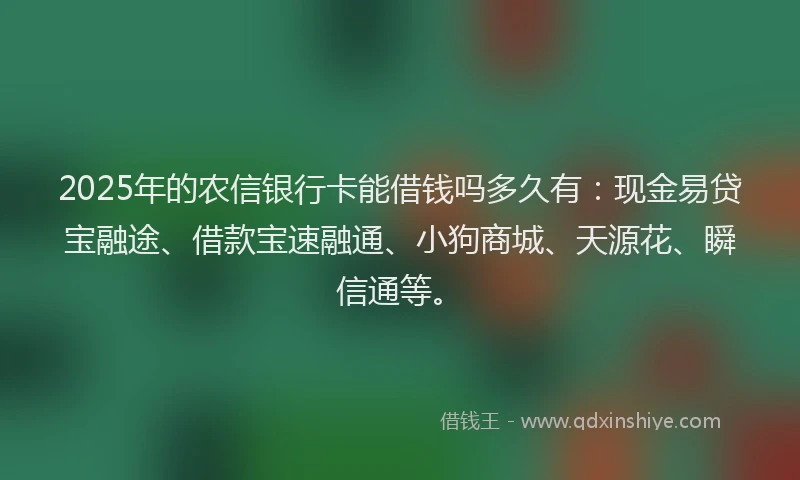 2025年的农信银行卡能借钱吗多久有：现金易贷宝融途、借款宝速融通、小狗商城、天源花、瞬信通等。