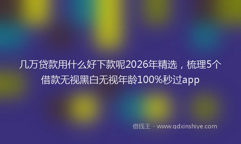 几万贷款用什么好下款呢2026年精选，梳理5个借款无视黑白无视年龄100%秒过app