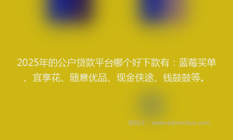 2025年的公户贷款平台哪个好下款有：蓝莓买单、宜享花、随意优品、现金侠途、钱鼓鼓等。