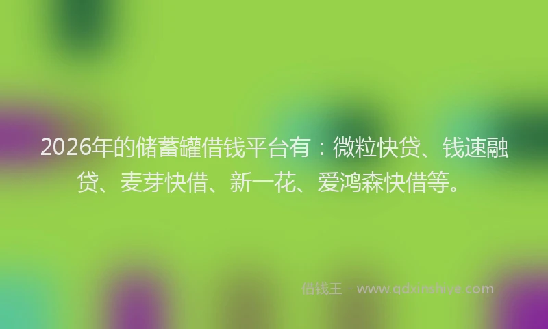 2026年的储蓄罐借钱平台有：微粒快贷、钱速融贷、麦芽快借、新一花、爱鸿森快借等。