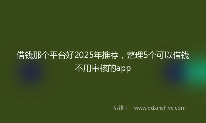 借钱那个平台好2025年推荐，整理5个可以借钱不用审核的app
