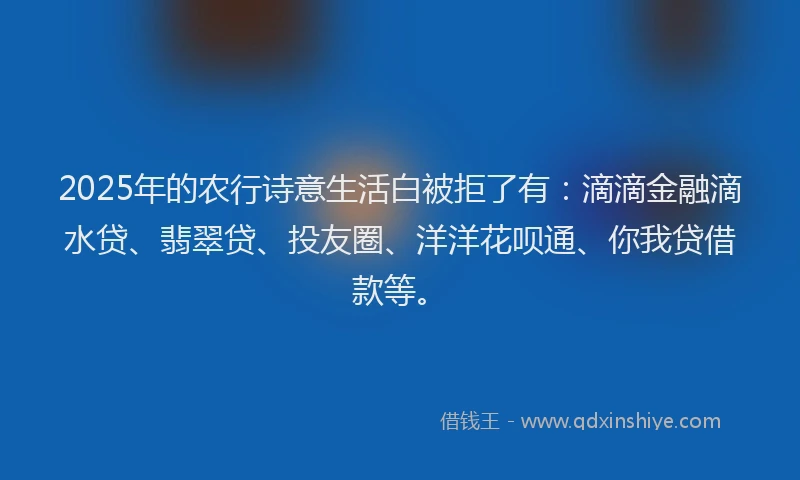 2025年的农行诗意生活白被拒了有：滴滴金融滴水贷、翡翠贷、投友圈、洋洋花呗通、你我贷借款等。