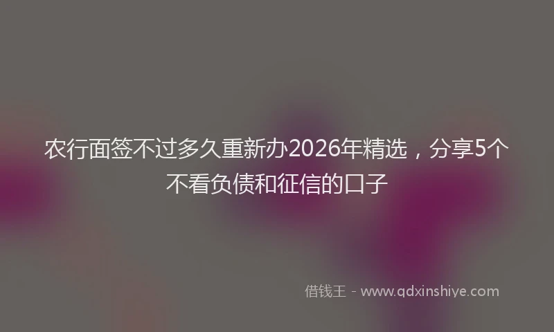 农行面签不过多久重新办2026年精选，分享5个不看负债和征信的口子