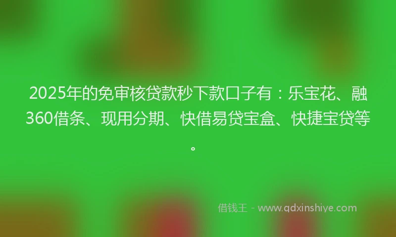 2025年的免审核贷款秒下款口子有：乐宝花、融360借条、现用分期、快借易贷宝盒、快捷宝贷等。