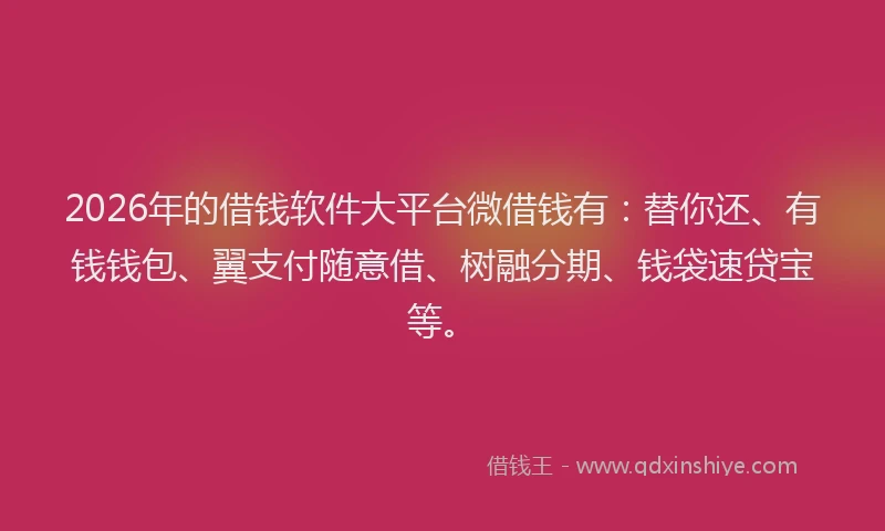 2026年的借钱软件大平台微借钱有:替你还、有钱钱包、翼支付随意借、树融分期、钱袋速贷宝等。