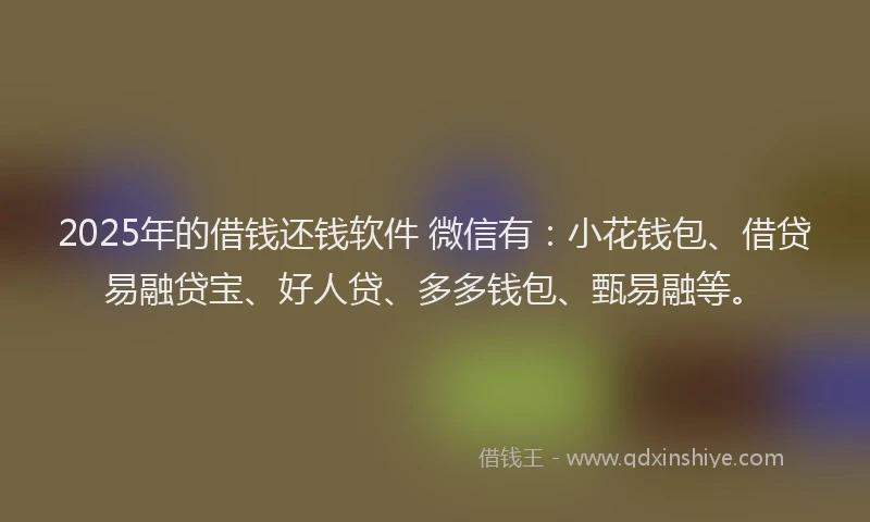 2025年的借钱还钱软件 微信有：小花钱包、借贷易融贷宝、好人贷、多多钱包、甄易融等。