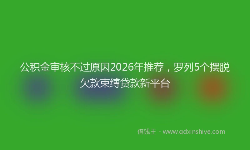 公积金审核不过原因2026年推荐，罗列5个摆脱欠款束缚贷款新平台