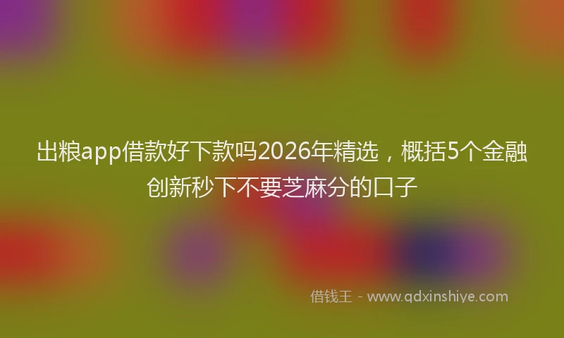 出粮app借款好下款吗2026年精选，概括5个金融创新秒下不要芝麻分的口子