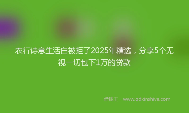 农行诗意生活白被拒了2025年精选，分享5个无视一切包下1万的贷款