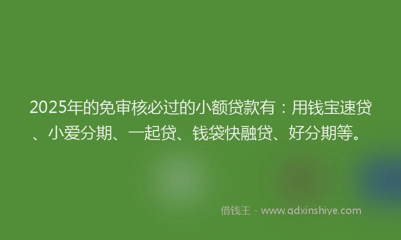 2025年的免审核必过的小额贷款有:用钱宝速贷、小爱分期、一起贷、钱袋快融贷、好分期等。