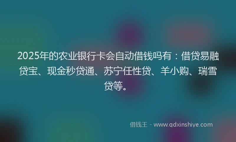 2025年的农业银行卡会自动借钱吗有:借贷易融贷宝、现金秒贷通、苏宁任性贷、羊小购、瑞雪贷等。