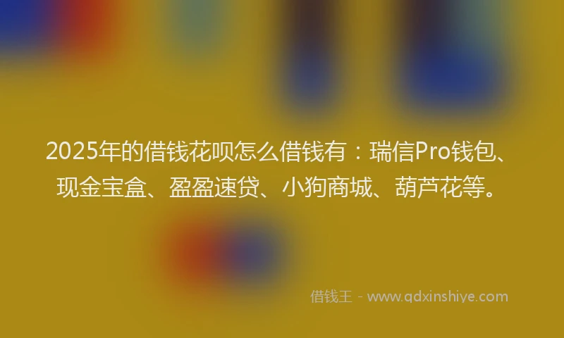 2025年的借钱花呗怎么借钱有：瑞信Pro钱包、现金宝盒、盈盈速贷、小狗商城、葫芦花等。