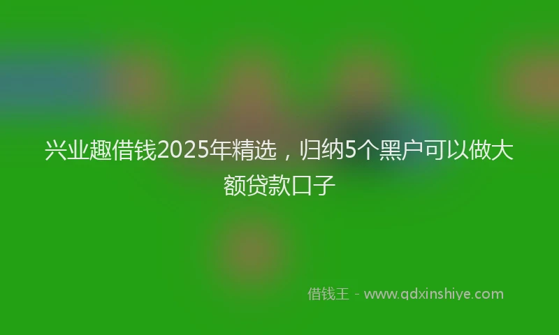 兴业趣借钱2025年精选，归纳5个黑户可以做大额贷款口子