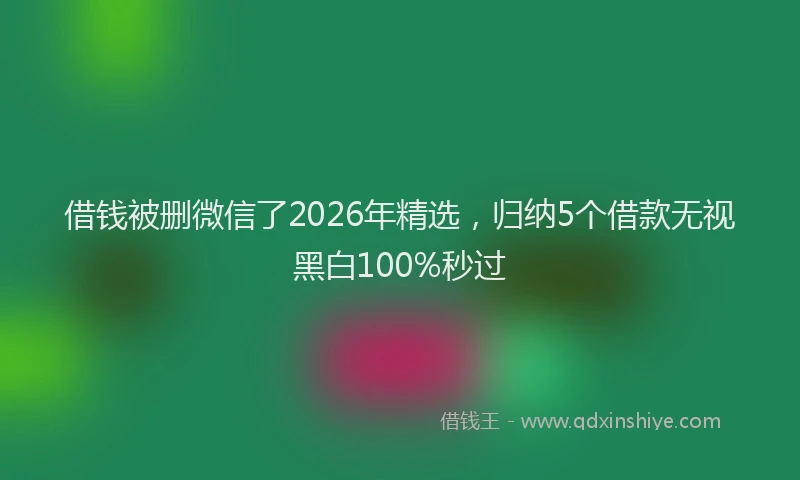 借钱被删微信了2026年精选，归纳5个借款无视黑白100%秒过