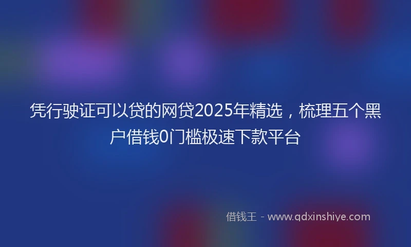 凭行驶证可以贷的网贷2025年精选，梳理五个黑户借钱0门槛极速下款平台