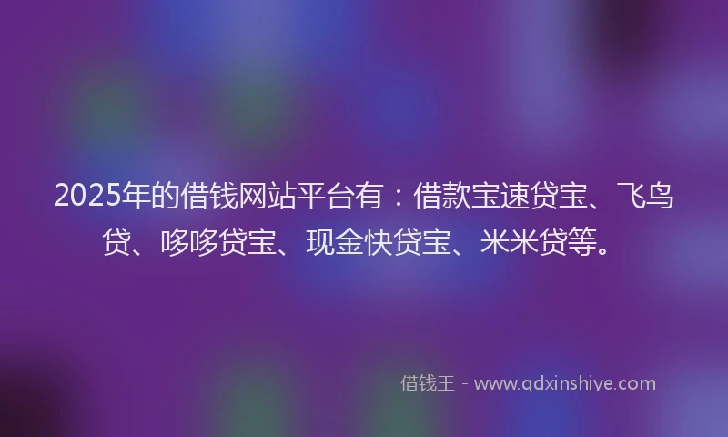 2025年的借钱网站平台有：借款宝速贷宝、飞鸟贷、哆哆贷宝、现金快贷宝、米米贷等。